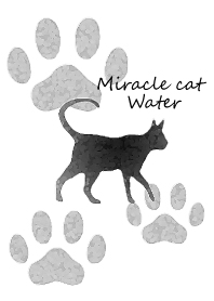 Miracle cat water