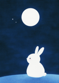 กระต่ายน้อย ตัวกลม น่ารัก_12