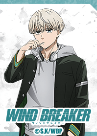 WIND BREAKER Vol.8