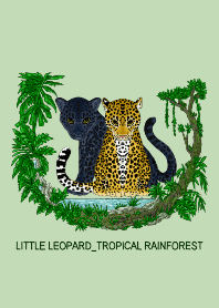 Little Leopard_Tropical Rainforest Theme