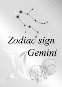 Gemini -Silver- 2023