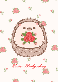 misty cat-Hedgehog rose red