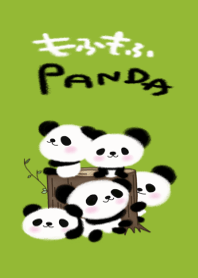 fluffy panda