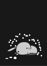 rabbit staring-14