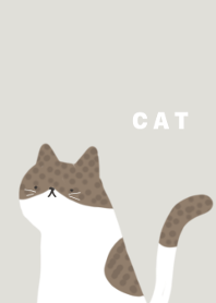 Brown tabby cat