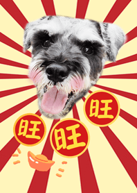 雪納瑞狗狗祝你好運旺旺來