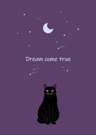 月亮流星(黑色貓咪)