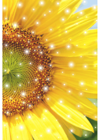 ＝Sunflower＝ 21