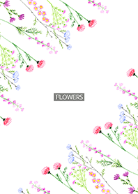 water color flowers_748