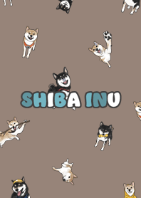 shibainu3 - brown