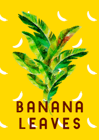 Banana Leaves