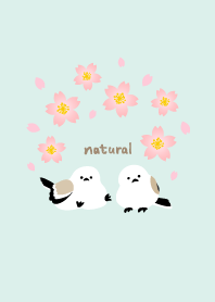 Long-tailed tit arch cherry blossoms13 J