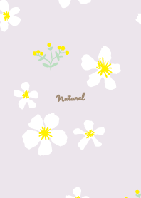 yellow and white flowers22 from Japan