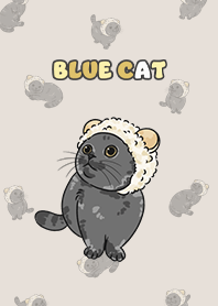bluecat2 - dark beige