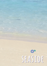 海濱 喇叭花'紫色的'