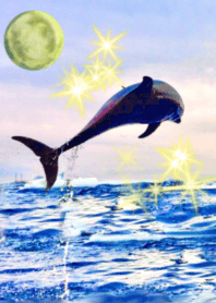 lucky moon dolphin Sea