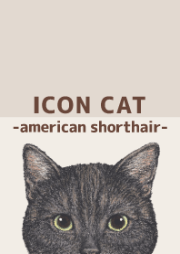 ICON CAT - American Shorthair - BROWN/03