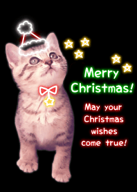 -- Christmas 2019 -- 13