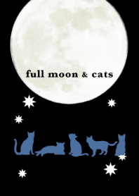 full moon&cats