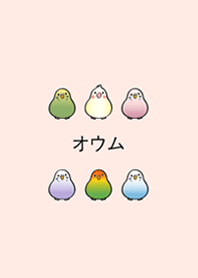 私の小さなオウム(サクラピンク)
