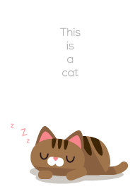 This is a Cat