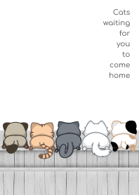 Cats waiting for you to come home