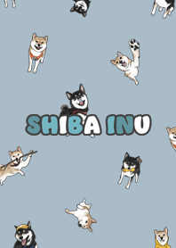 shibainu3 / light steel lbue