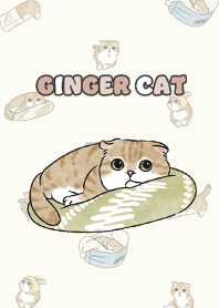 gingercat11 / yellow cream