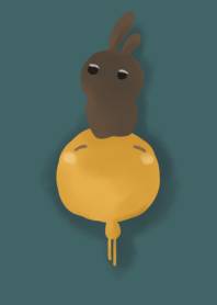 rabbit staring - stupid cookies