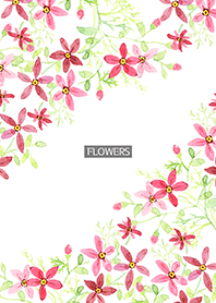 water color flowers_955