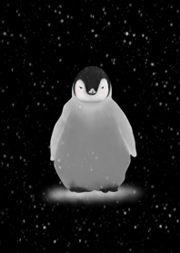 สัตว์ : นก แพนกวิน