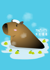 Capybara enjoys shaddock hotspring