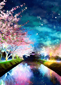 Beautiful night cherry blossoms#1820