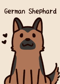 A cute German Shepherd.