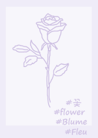 #flower rose(purple2)