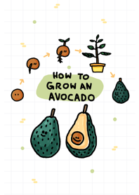 How to grow an avocado :)