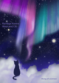 Rainbow Aurora Moon and Cat