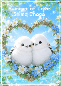 Summer of Love Shima Enaga
