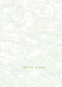White clover Theme 3