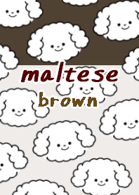 maltese dog theme19 brown