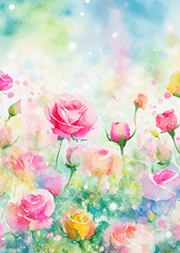 Beautiful rose flower(R5244)