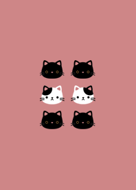 Animal : Black & White Cats