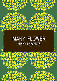 MANY FLOWER12
