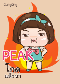 PEAK aung-aing chubby_S V10 e
