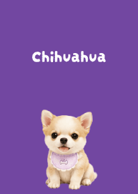 I love Chihuahuas02 purple JP