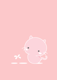 cat staring -3 -pink