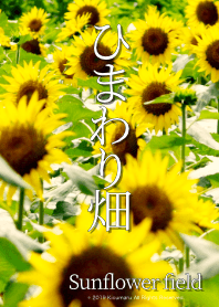 ひまわり畑 - Sunflower field - #2