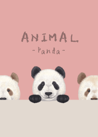ANIMAL - Panda - PINK LEMONADE