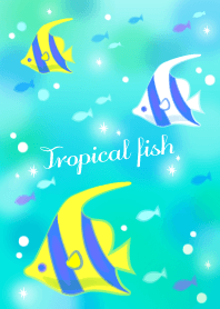 Tropical fish.