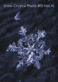 Snow Crystal Photo #15-19Not AI